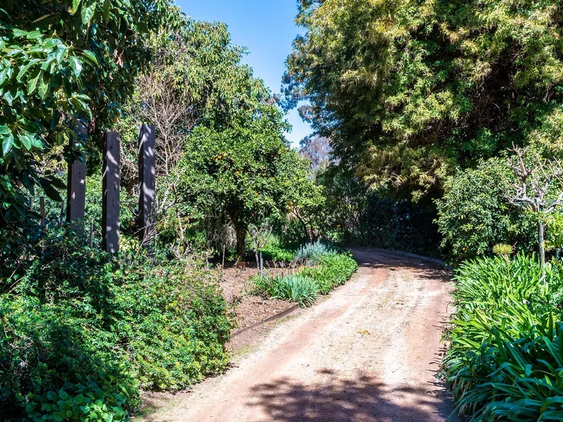 Absolute Rarity, Absolute Riverfront