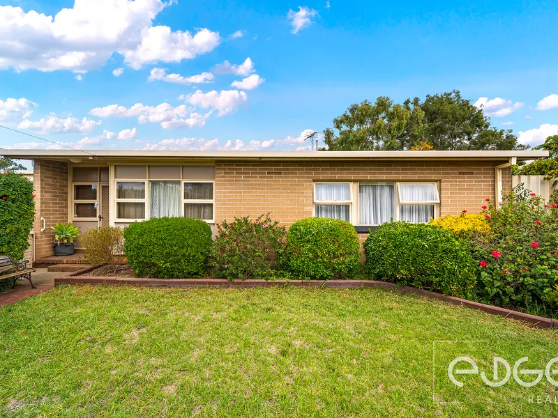 Gardeners' Delight, Renovators Heaven!