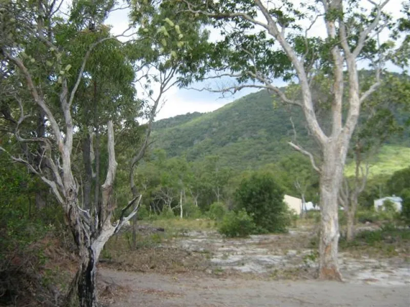 Developer Block Near Hospital & Schools