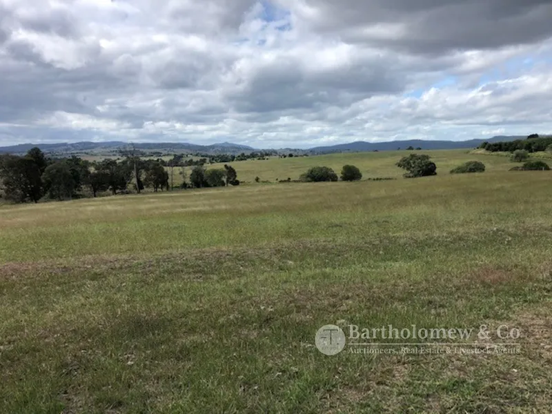 Prime North Side Acreage