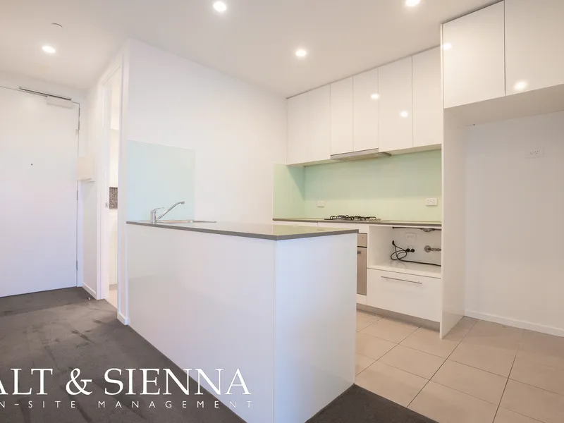 Spacious Apartment with Balcony -  Freshly Painted & Like New