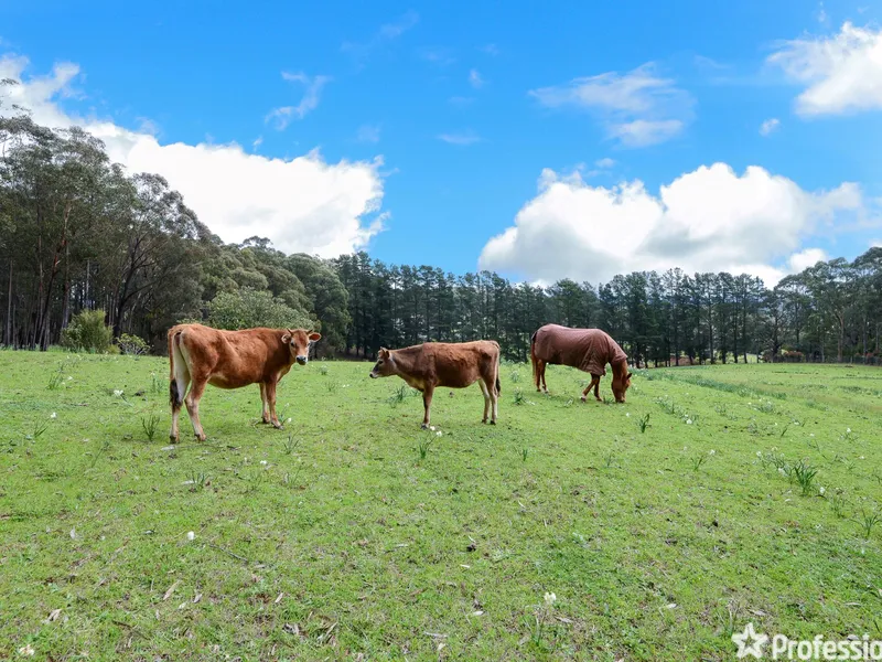 5 ACRES APP. VACANT LAND
