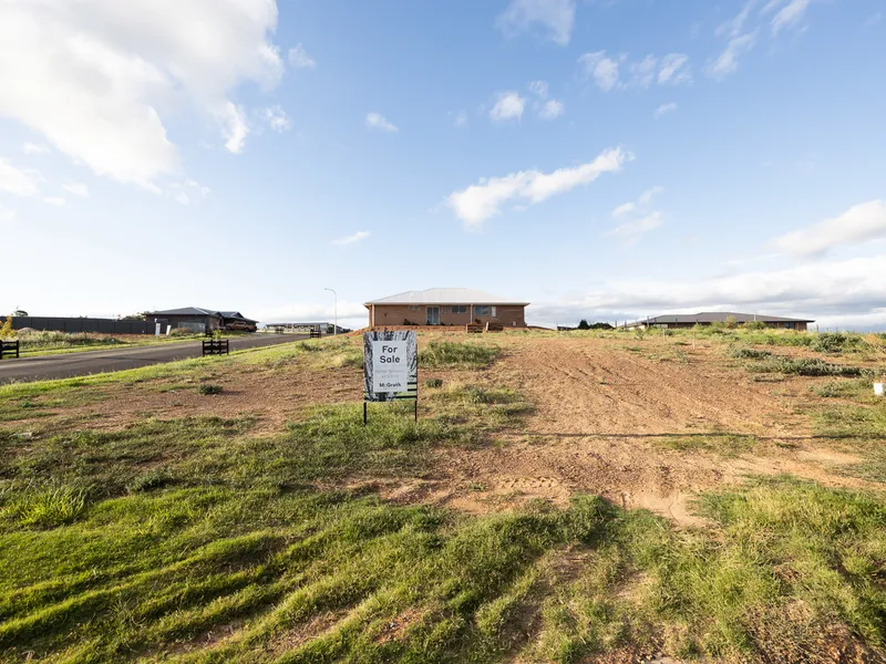 Registered Land, Blank Canvas