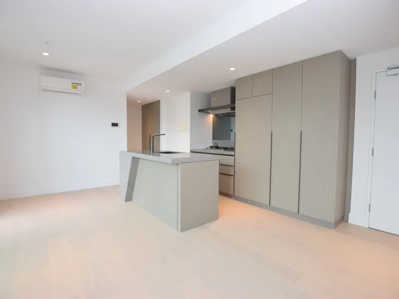 Brand New Luxury Apartment