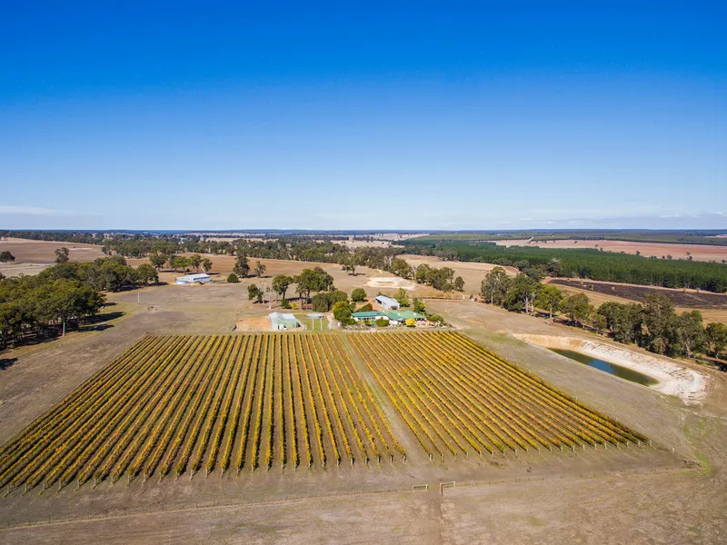 SPRAWLING HOMESTEAD ON 174 ACRES