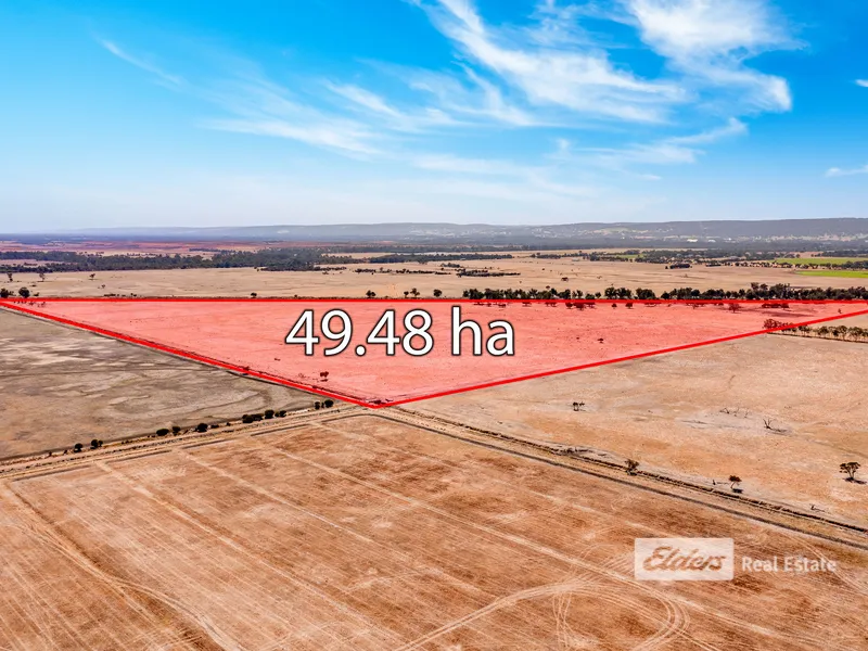 Premium Grazing Land (Two Lots Sold Together)