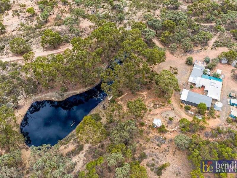 Surround Yourself with Nature on this 29 acre Bush Block