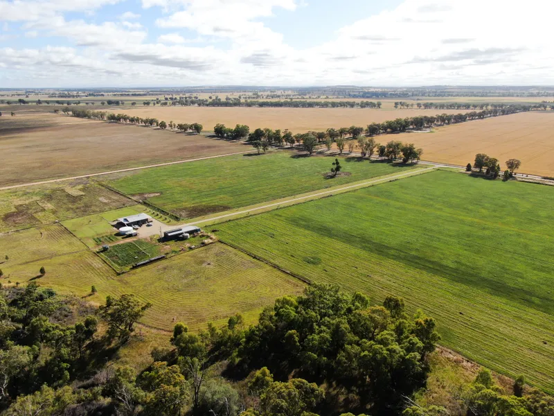 RARE 138AC MIXED FARMING OPPORTUNITY !!