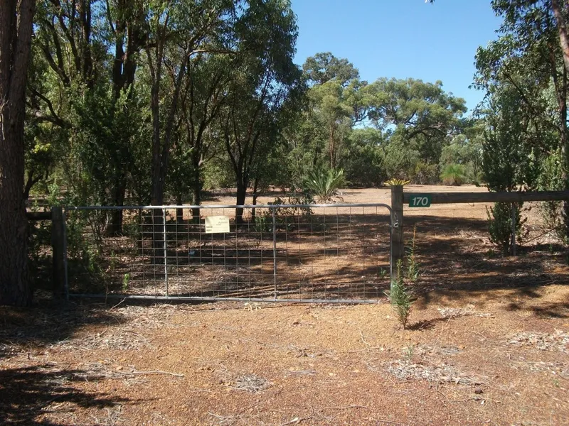 Your Tree Change Begins Here