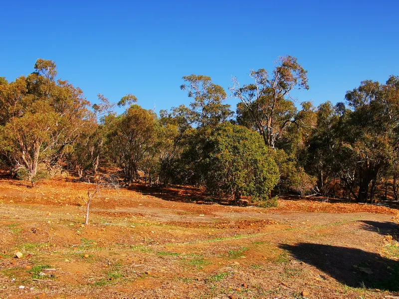 RARE EARTH WITH THE VIEW