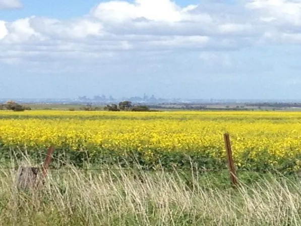 CITY & BAY VIEWS COUNTRY ACREAGE – OUTSIDE URBAN SPREAD – POSSIBLE FUTURE DEVELOPMENT POTENTIAL (STCA)