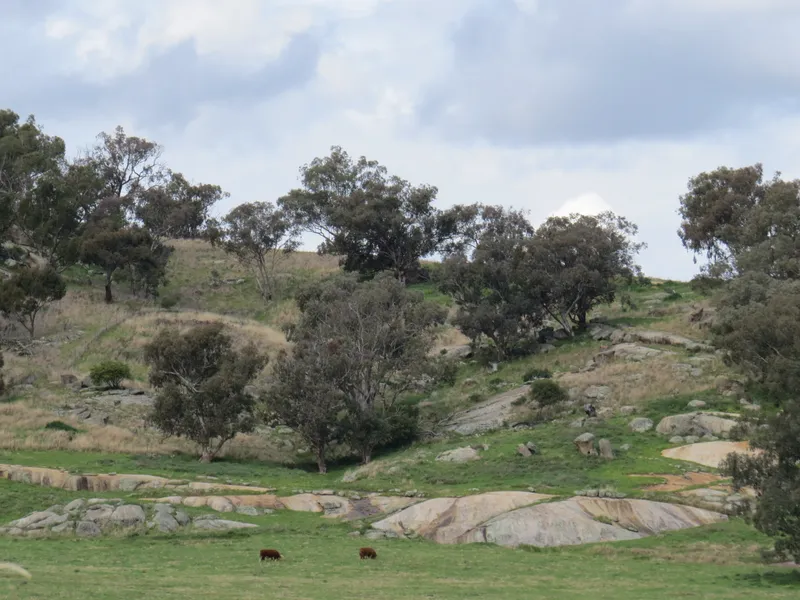 Livestock and/or Recreation