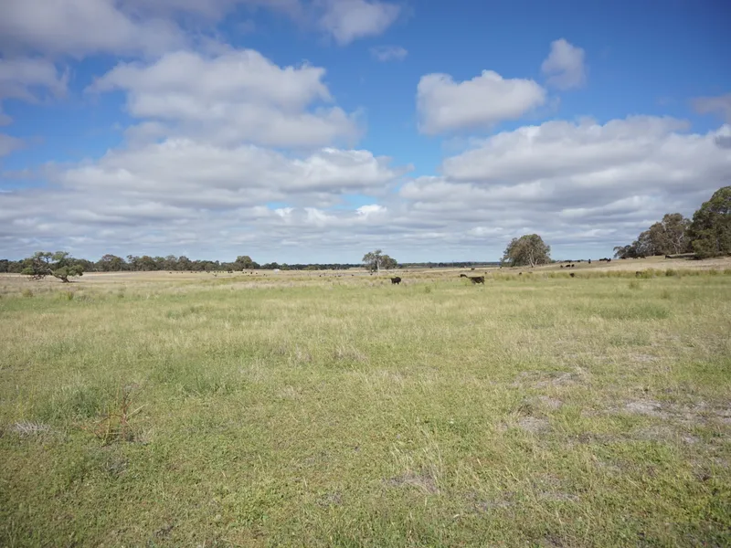 Mogumber Pastoral