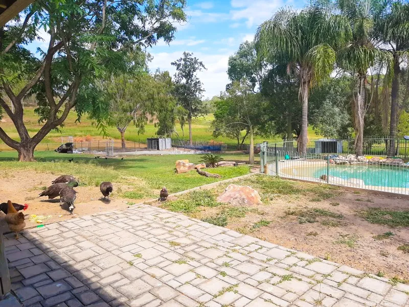 Four Bedroom Home on 19 ACRES!