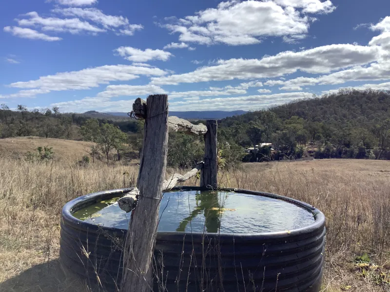 Beautiful grazing block at Emu Creek, North of Crows Nest