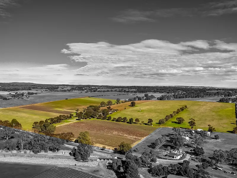 Large Land Holding, Wonderful Position