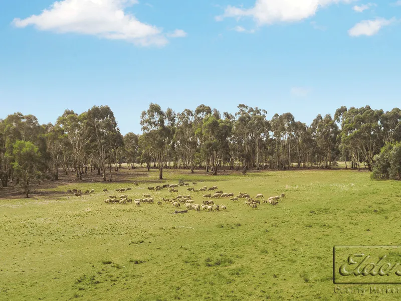 Axedale/Toolleen District - 129.4 Ha/320 Ac (Approx)