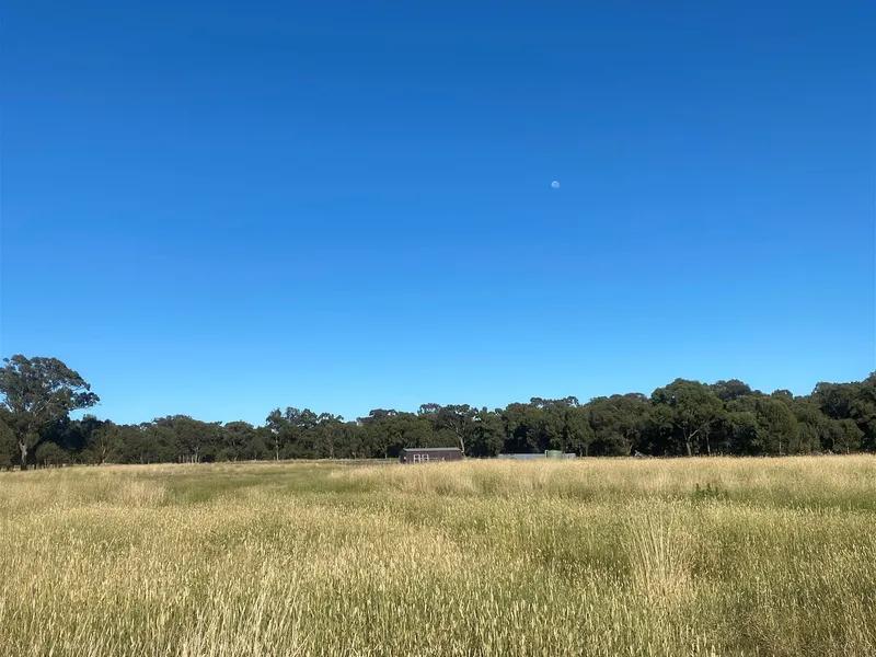 Captivating Scenic Land