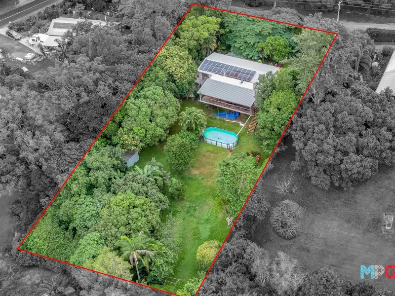 North-East Facing ½ Acre: Views, Privacy, Potential!