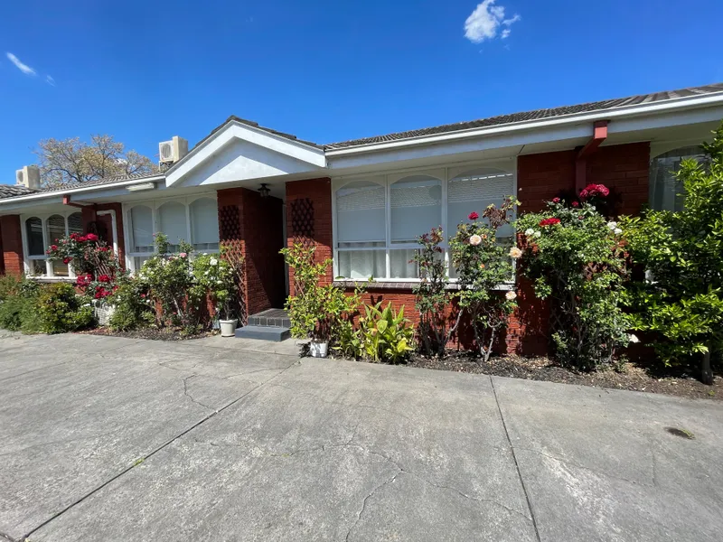 LIGHT FILLED AND SPACIOUS