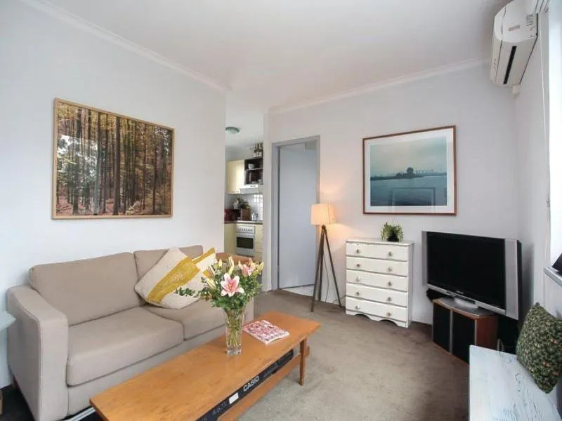 Sunny 1-bedroom apartment above the treetops