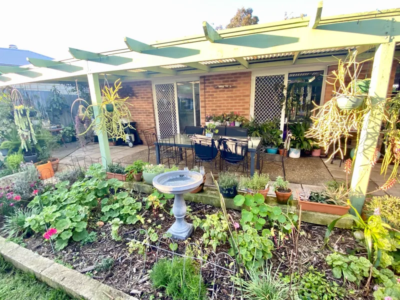 Coming Soon - Garden Sanctuary