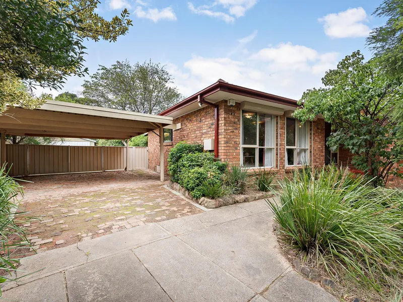 Let the light shine in!