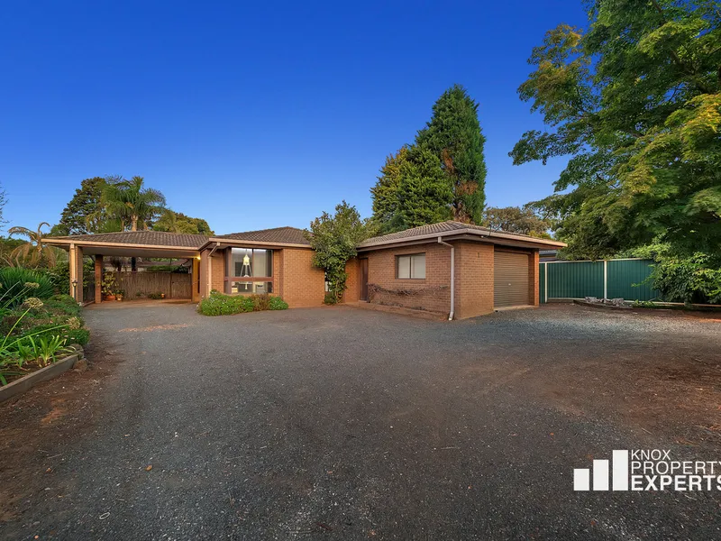 Space & Flexibility for the Growing Family