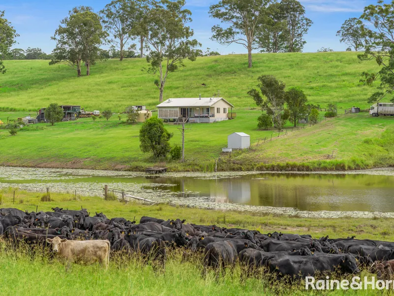 LARGE SCALE CATTLE PROPERTY