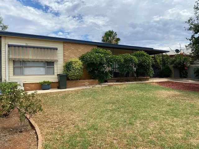 Behind The Frangipani