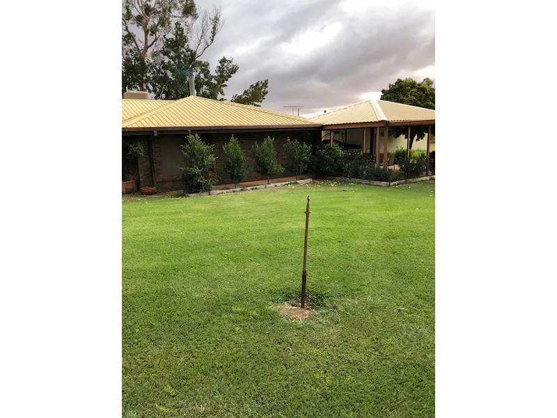 Regent Drive Citrus Property