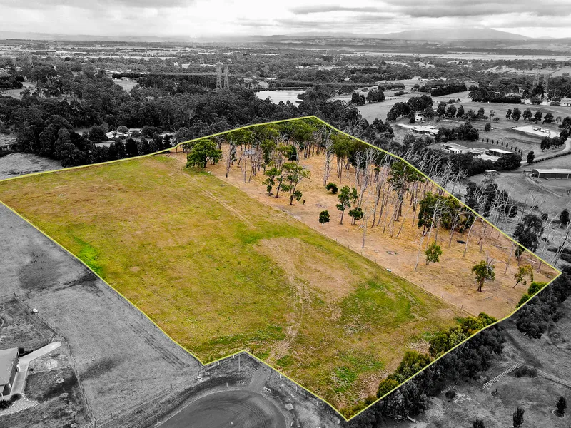 BUILD YOUR TREE CHANGE LIFESTYLE!