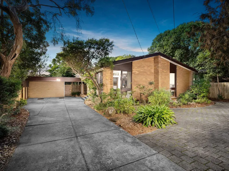 Timeless Family Appeal