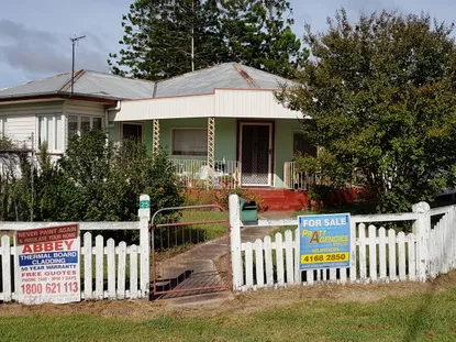 RENOVATOR DELIGHT