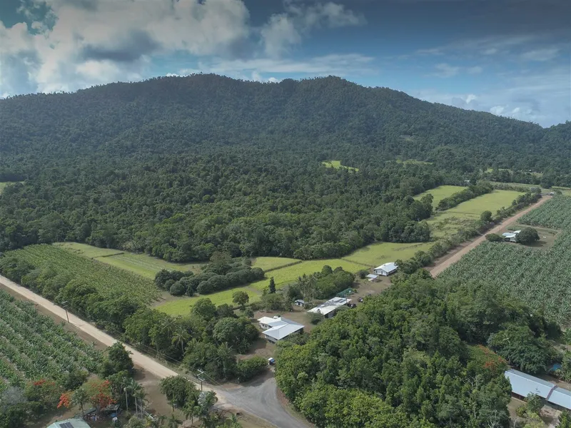 Lifestyle, Homes, Sheds, Tropical Fruits, Creeks, Rainforest