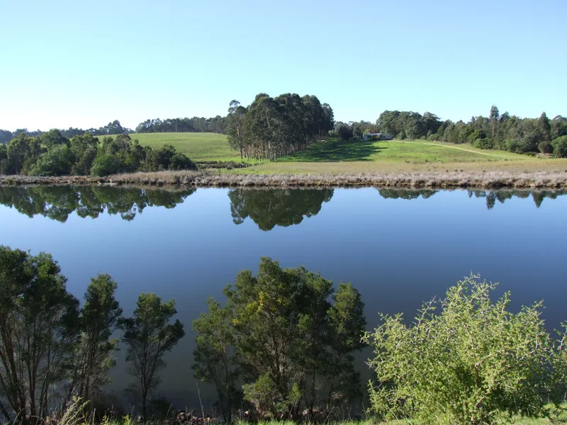 LOT 24, NICHOLSON RIVER ESTATE