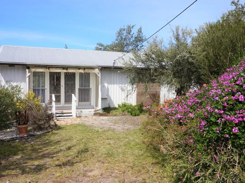 LOOK AT ME! I'M BRIGHT AND BREEZY AND FRESHLY RENOVATED!