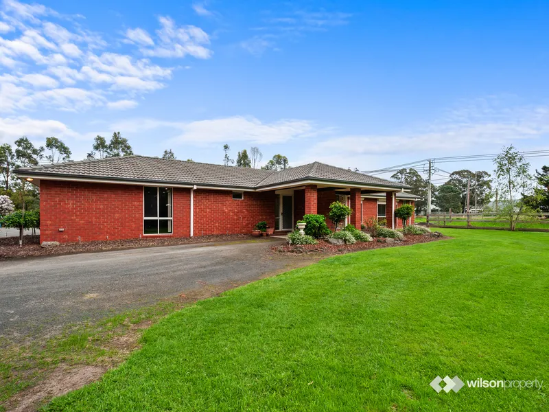 Needle In A Haystack