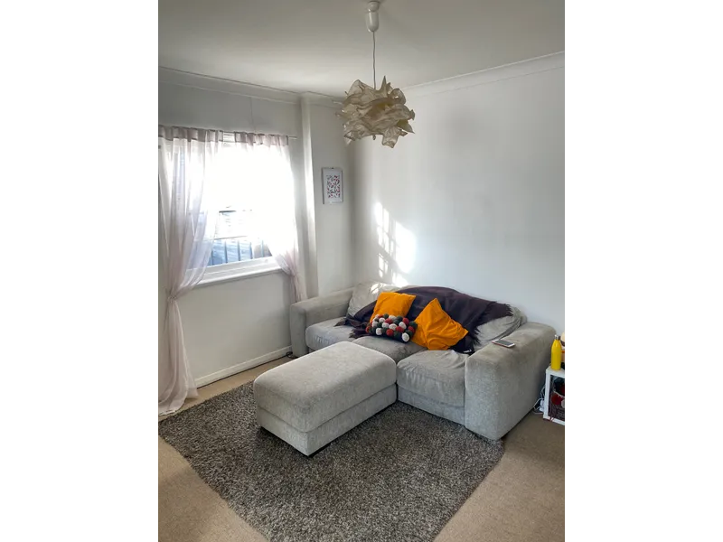 Bohemian, easy to care for and a great price