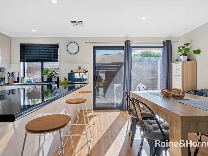 Hidden Modern Gem!
