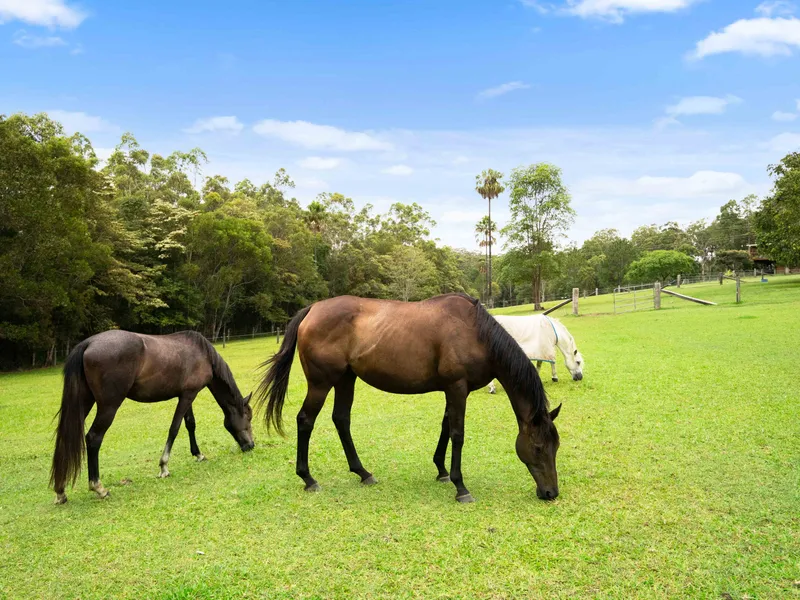 Picturesque Equine Retreat in Desirable Locale