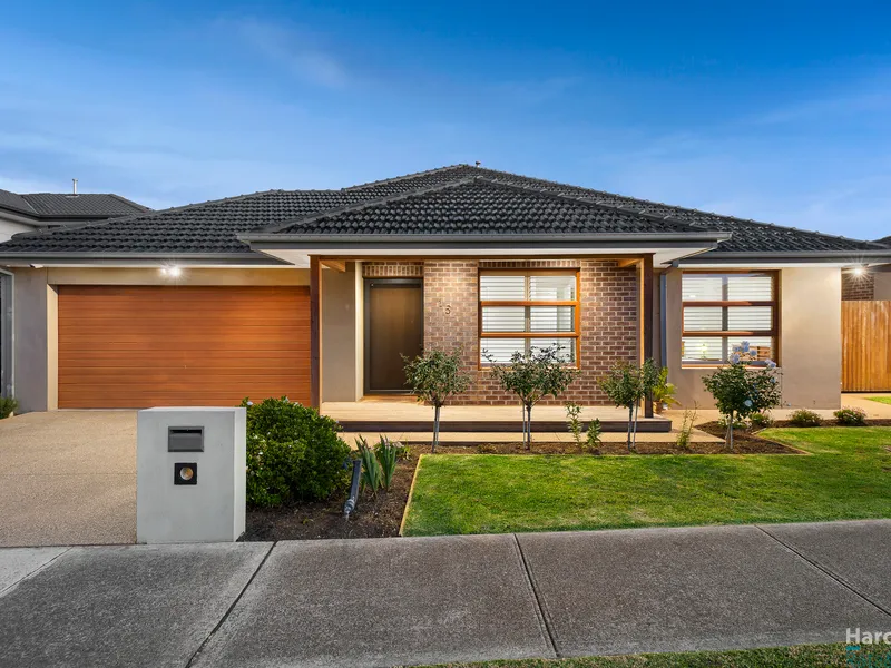 For the Entertainer!