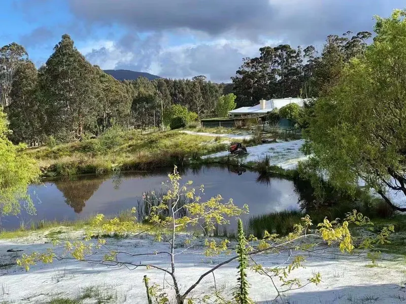 Tasmania Port Arthur farm - a beautiful scene of fairyland