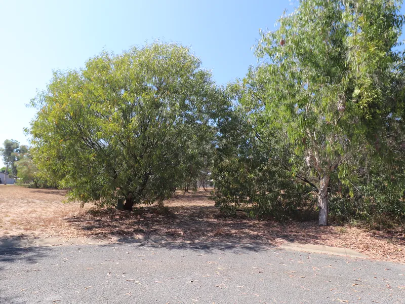 Quiet Culdesac.... ready to build on