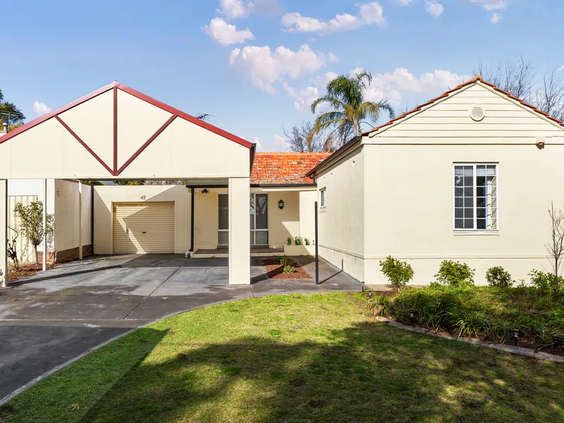 Modern Contemporary Magic: Endless Family Appeal.