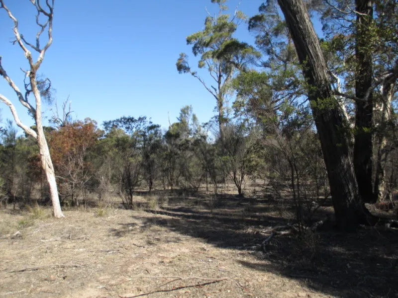 JUST UNDER 100 ACRES FOR $98,500 NEG