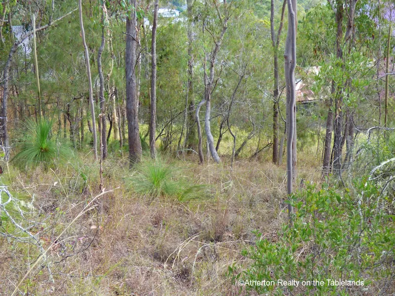 LAND WITH VIEWS AND NO COVENANTS