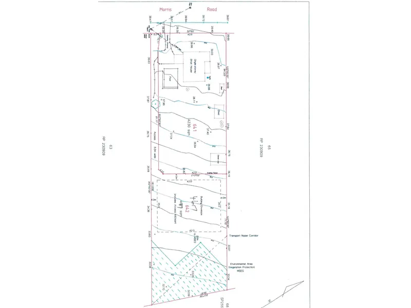 YOUR LUCKY DAY - REGISTERED LAND