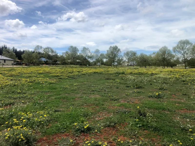 Fantastic Level Block in Highlands Estate!