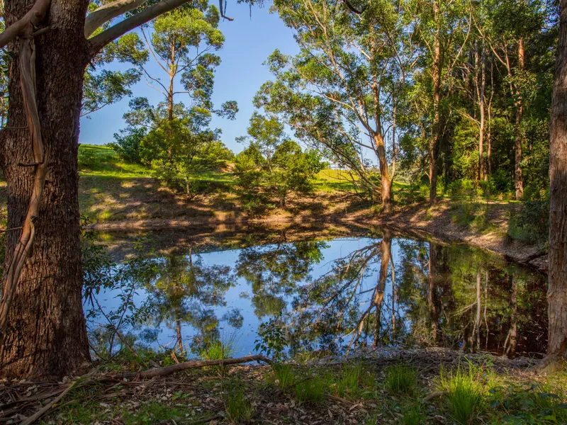 'Warraview Retreat'